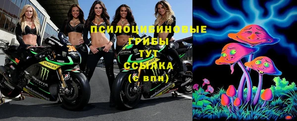 гидра Осташков